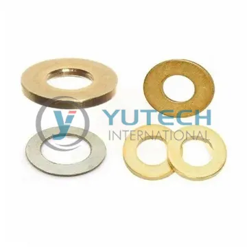 Brass Spring Washers